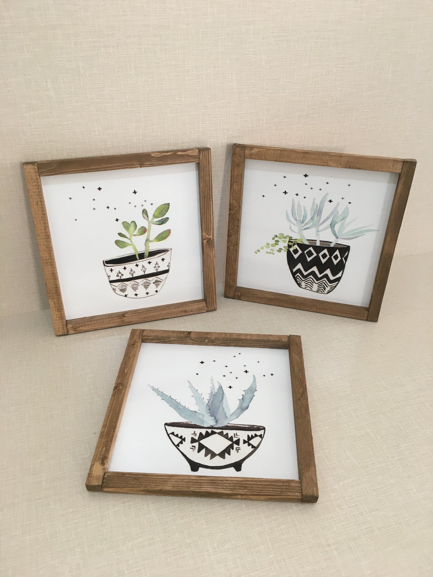 Sukulent Tablo Seti / Ceviz