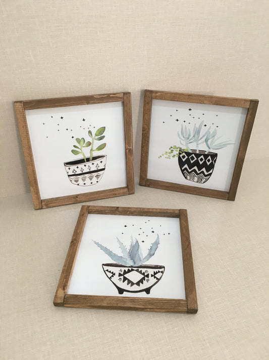 Суккулентный столовый сервиз / Грецкий орех