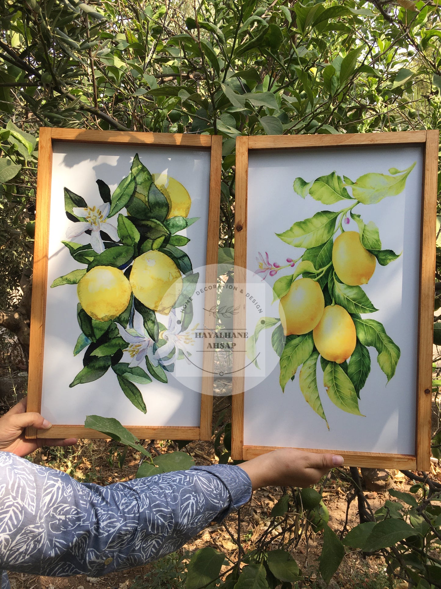 Limon Tablo Seti
