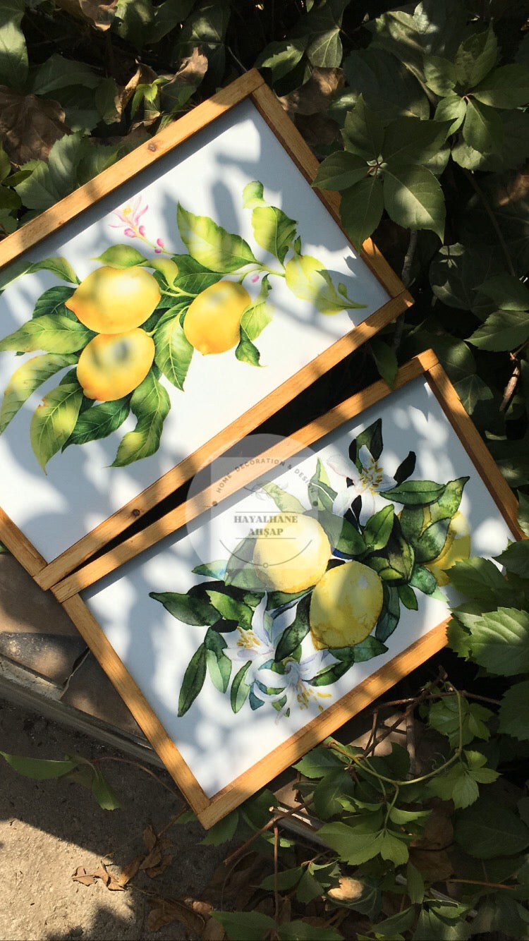 Limon Tablo Seti