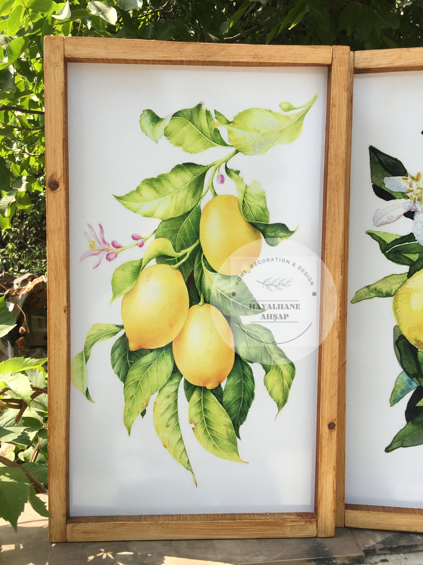 Limon Tablo Seti
