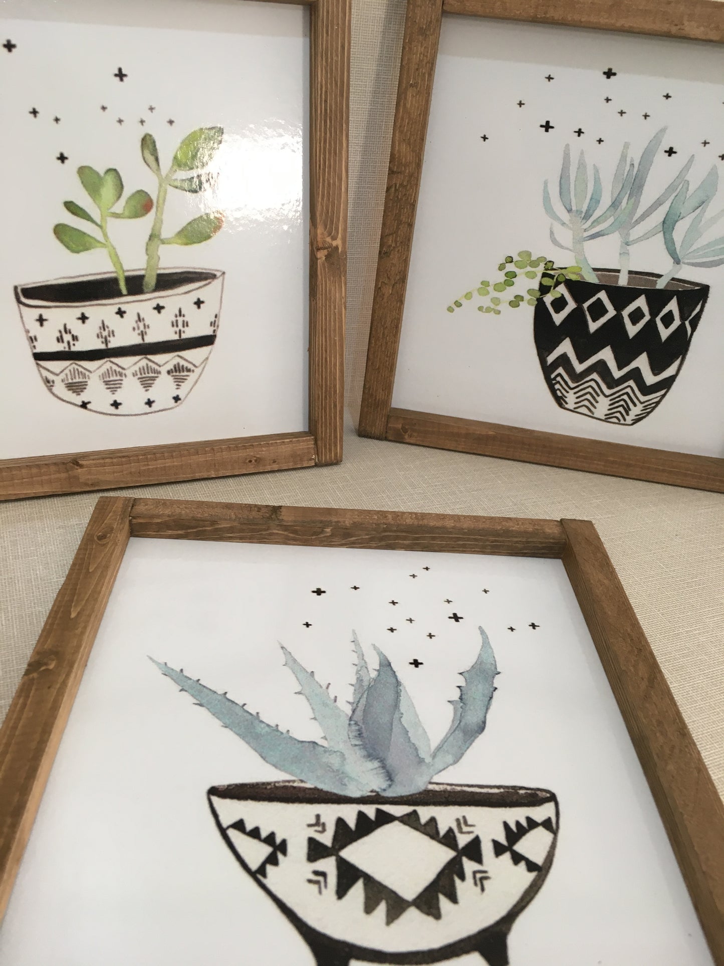 Sukulent Tablo Seti / Ceviz