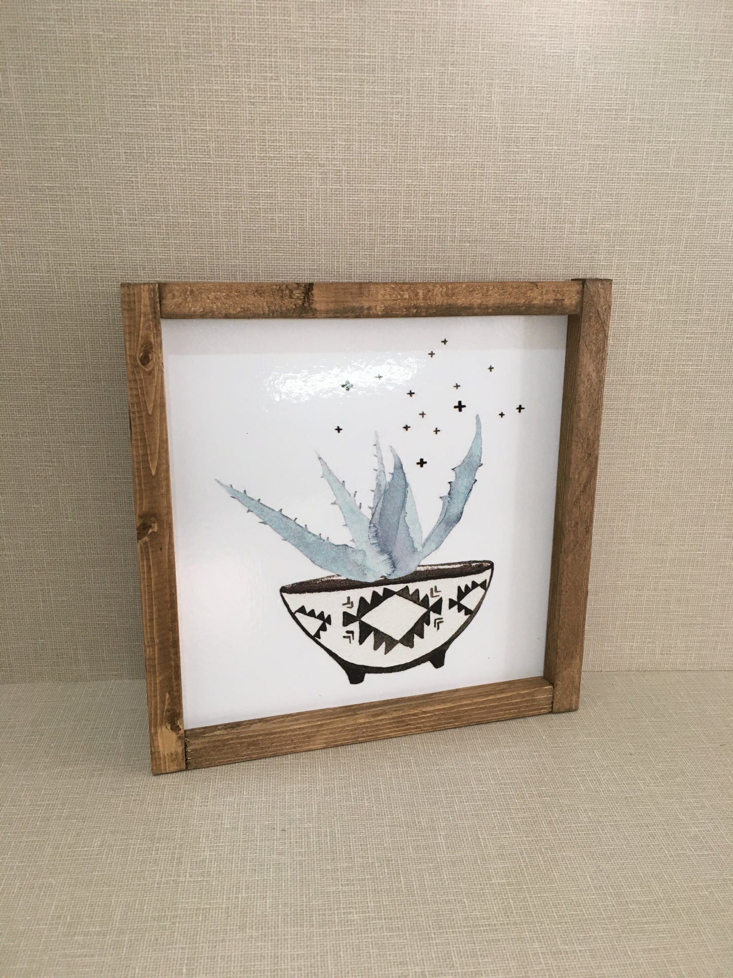 Sukulent Tablo Seti / Ceviz