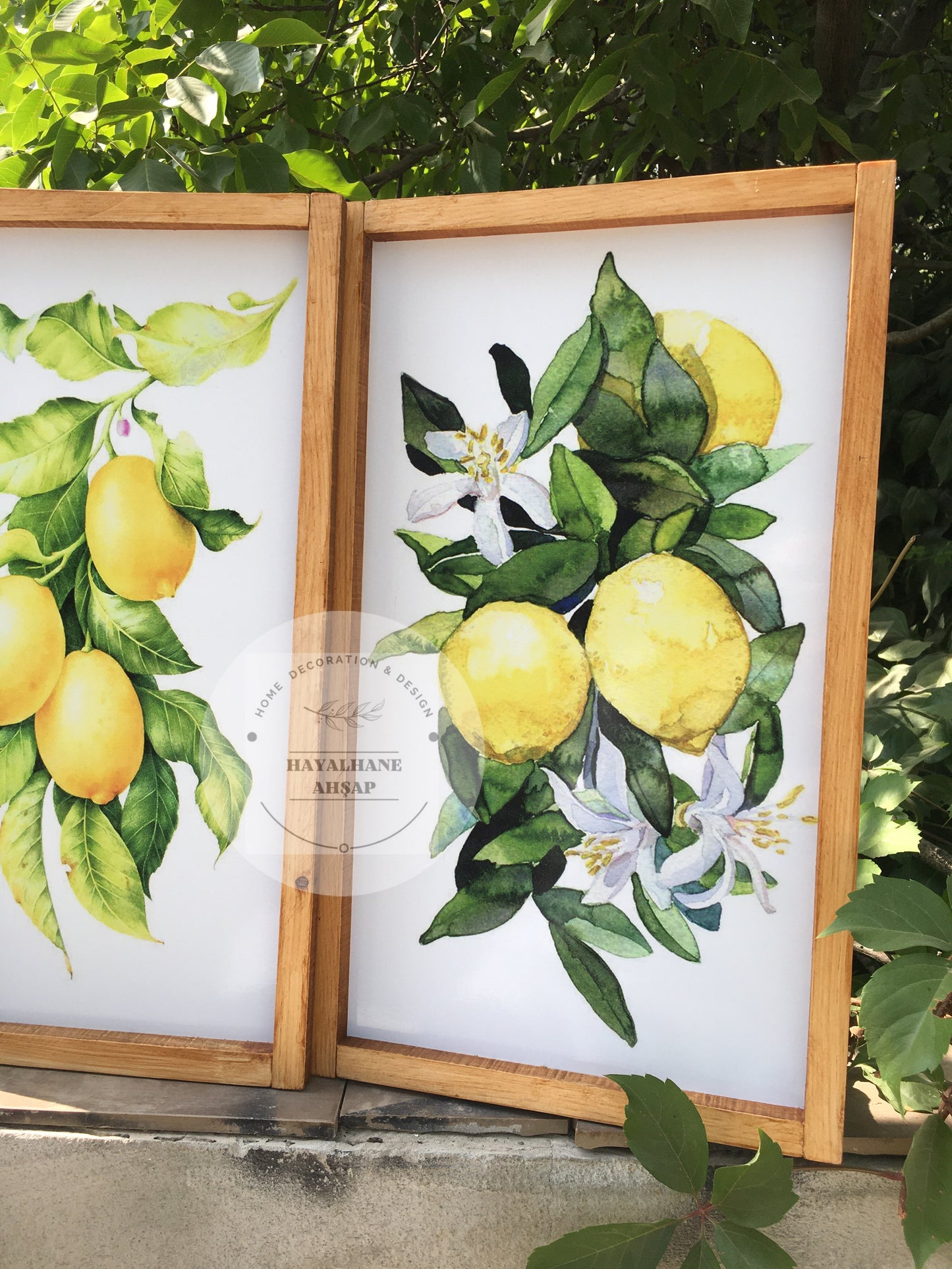 Limon Tablo / Design 2