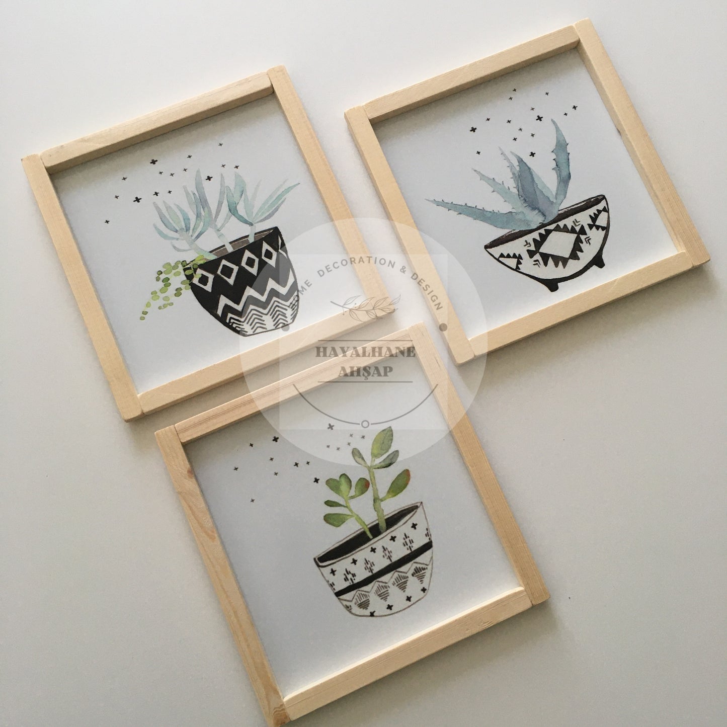 Sukulent Tablo Seti
