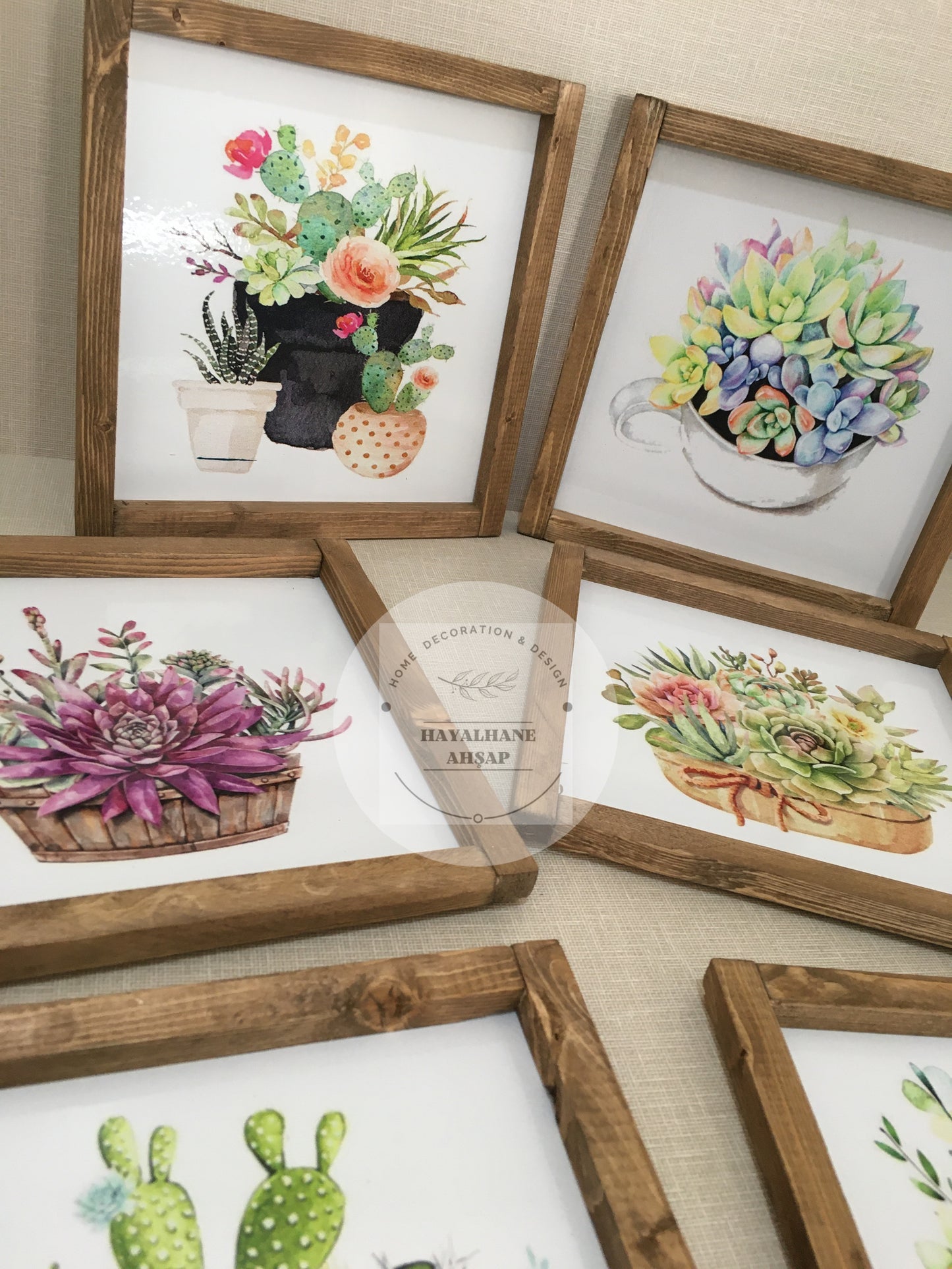 Cactus and Succulent Table Set