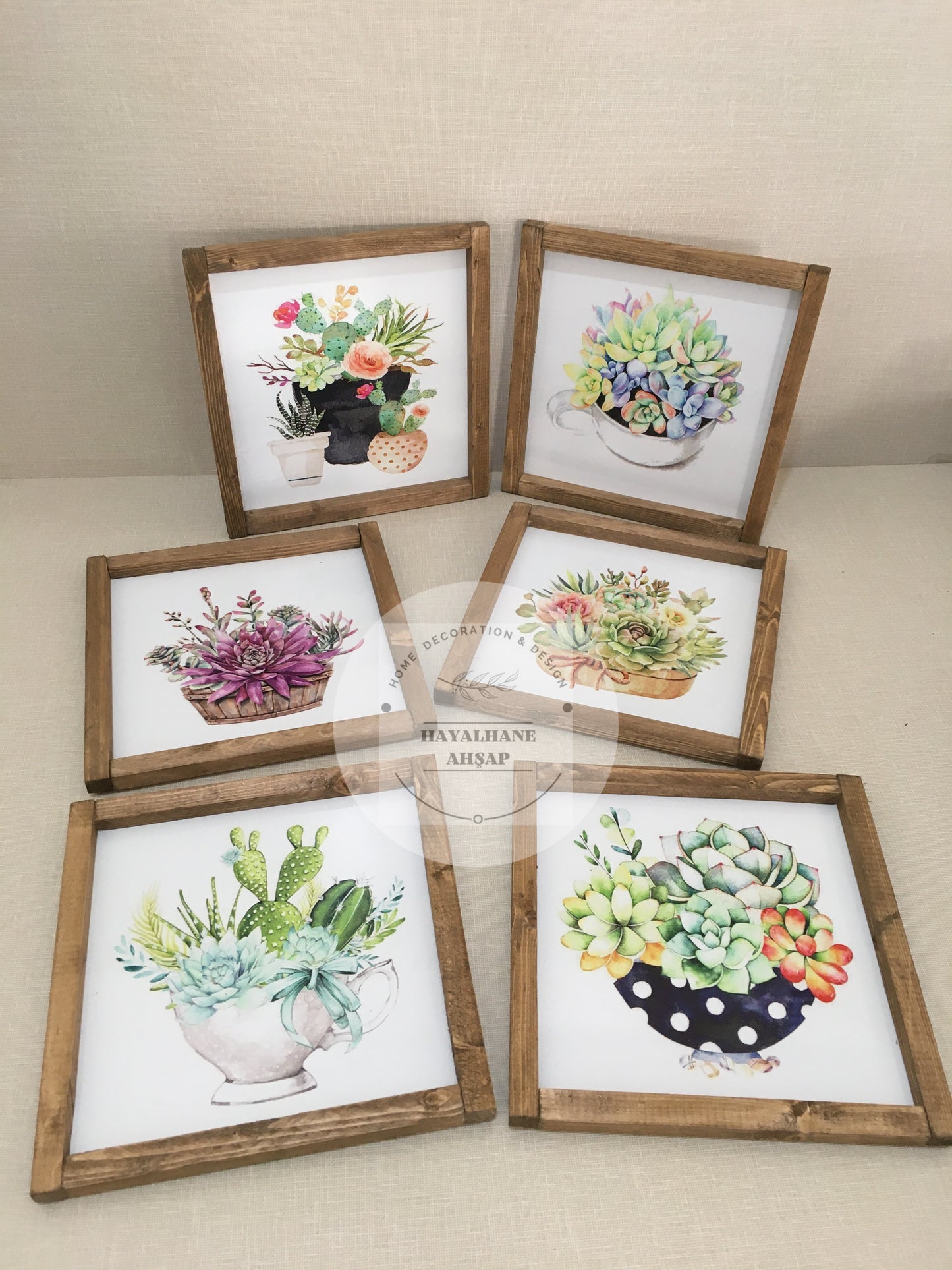 Cactus and Succulent Table Set