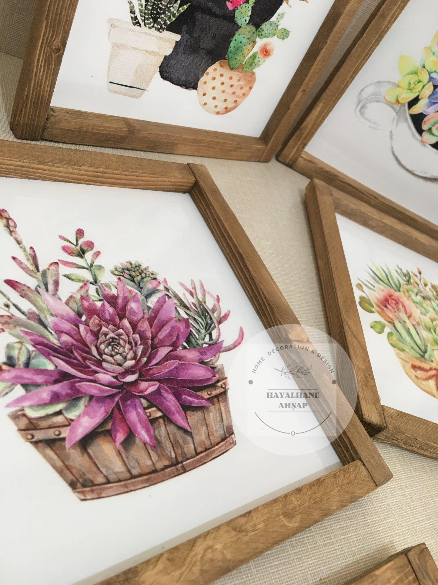 Cactus and Succulent Table Set