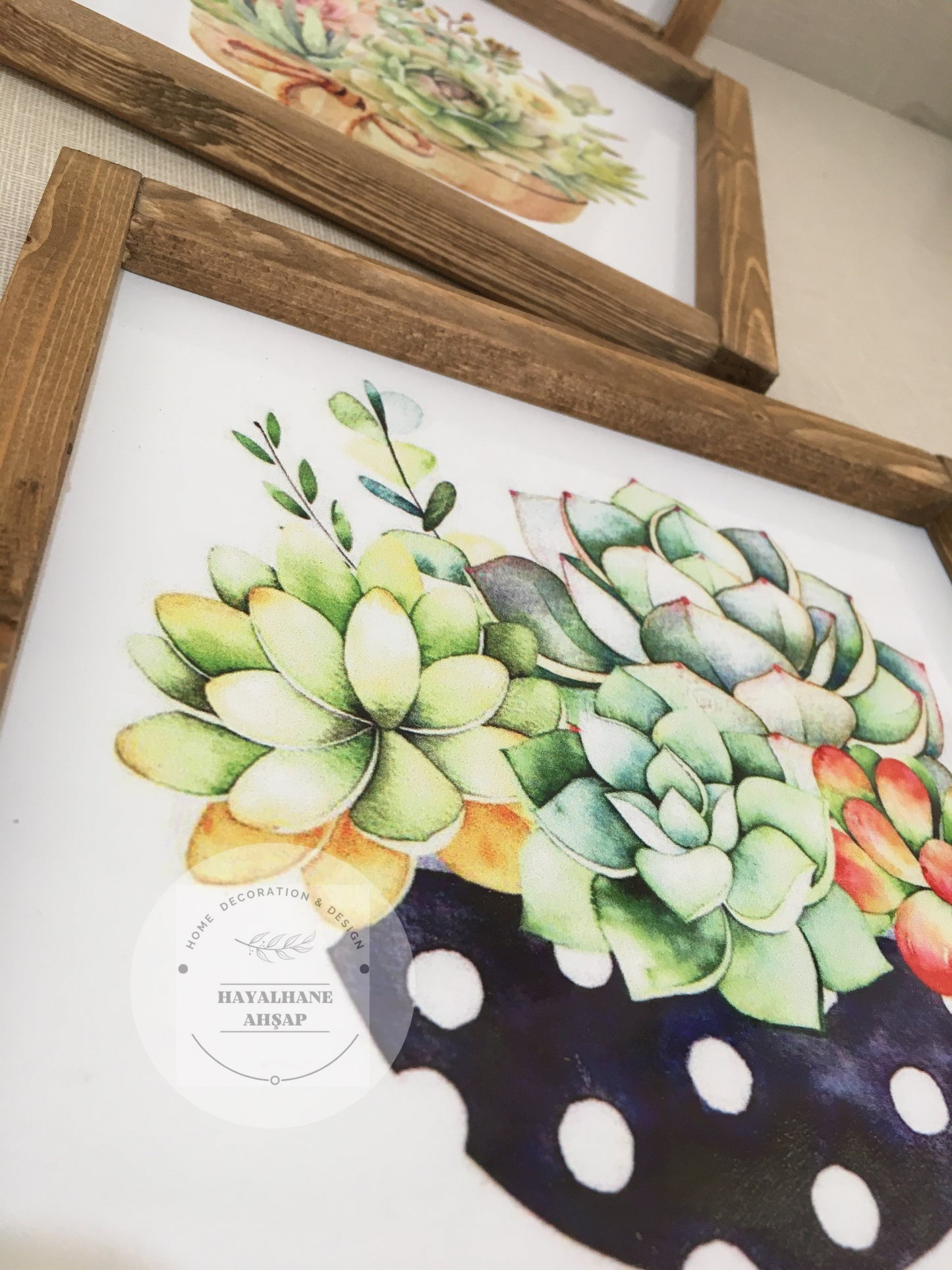 Cactus and Succulent Table Set